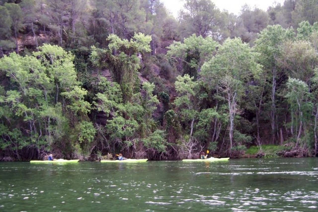 Naturaleza y piraguas
